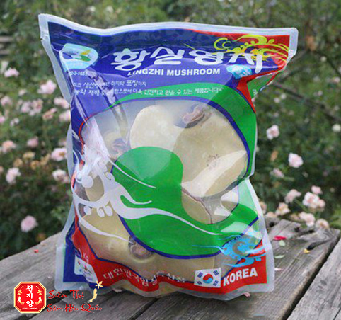 Nấm linh chi Hàn Quốc Lingzhi Mushroom