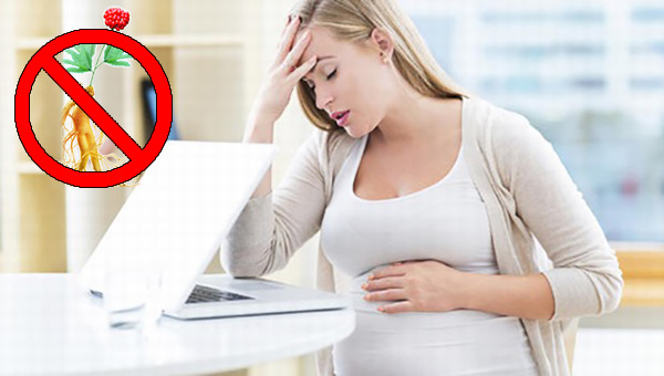 phụ nữ mang thai không nên sử dụng nhân sâm hàn quốc