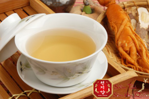 uống trà sâm mỗi ngày để bảo vệ sức khỏe